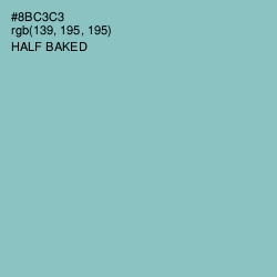 #8BC3C3 - Half Baked Color Image